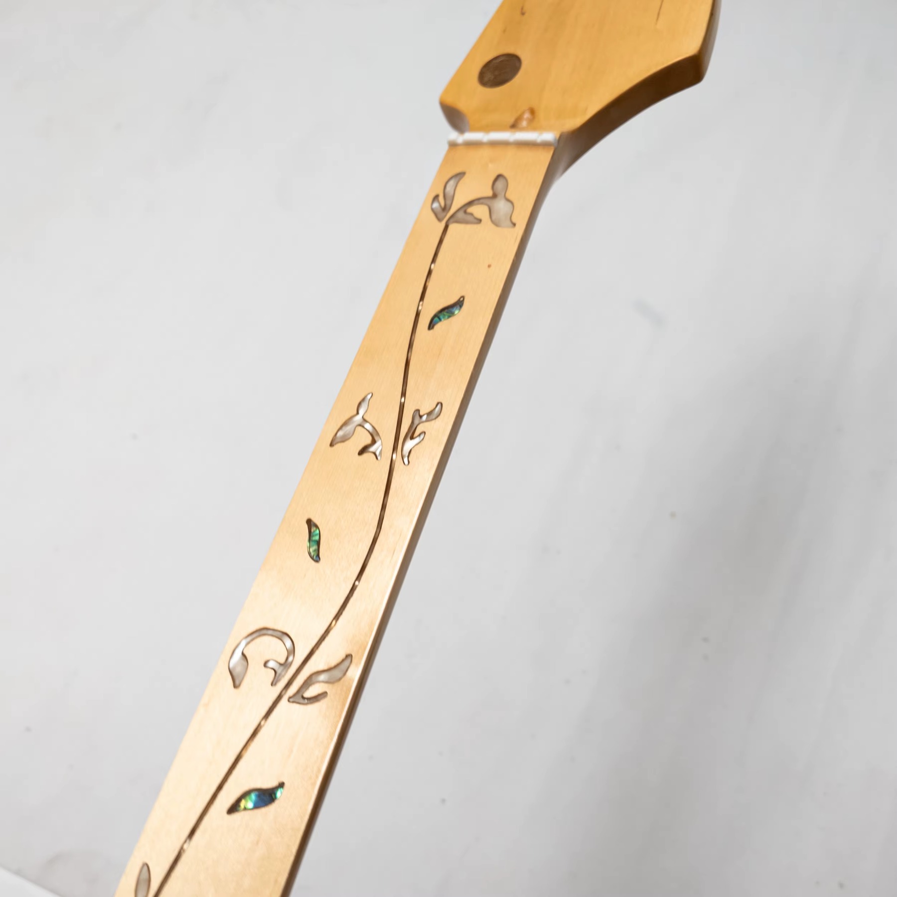 Fretless 4 Telli Bas Gitar Sap - Bass Guitar Fretless incelemesi ve fiyatı