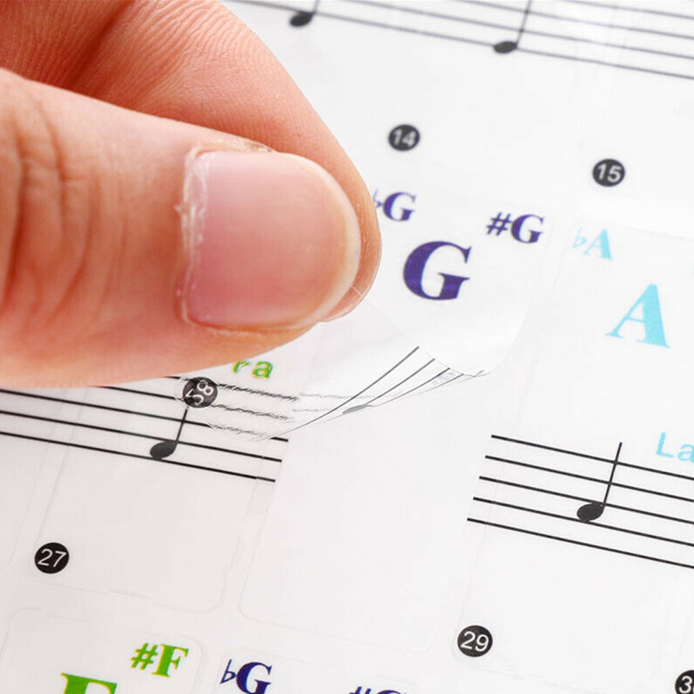 Şeffaf Renkli Piyano Klavye Et - Musical Instrument Tabla incelemesi ve fiyatı